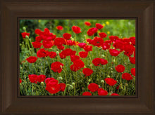 Load image into Gallery viewer, Plate 2 - Poppies in Abundance
