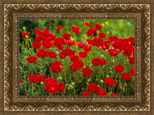 Load image into Gallery viewer, Plate 2 - Poppies in Abundance
