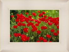 Load image into Gallery viewer, Plate 2 - Poppies in Abundance
