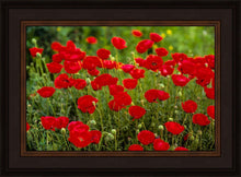 Load image into Gallery viewer, Plate 2 - Poppies in Abundance
