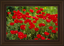 Load image into Gallery viewer, Plate 2 - Poppies in Abundance
