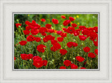 Load image into Gallery viewer, Plate 2 - Poppies in Abundance
