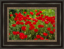 Load image into Gallery viewer, Plate 2 - Poppies in Abundance
