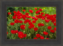Load image into Gallery viewer, Plate 2 - Poppies in Abundance

