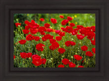 Load image into Gallery viewer, Plate 2 - Poppies in Abundance
