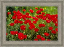Load image into Gallery viewer, Plate 2 - Poppies in Abundance

