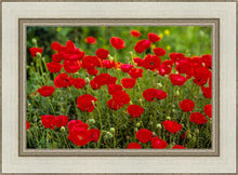 Load image into Gallery viewer, Plate 2 - Poppies in Abundance

