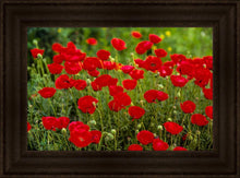 Load image into Gallery viewer, Plate 2 - Poppies in Abundance
