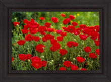 Load image into Gallery viewer, Plate 2 - Poppies in Abundance
