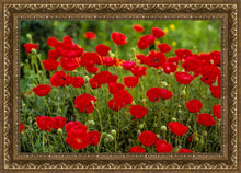 Load image into Gallery viewer, Plate 2 - Poppies in Abundance
