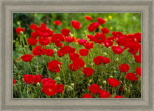 Load image into Gallery viewer, Plate 2 - Poppies in Abundance
