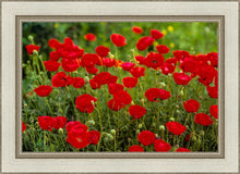 Load image into Gallery viewer, Plate 2 - Poppies in Abundance
