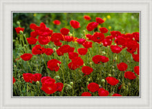 Load image into Gallery viewer, Plate 2 - Poppies in Abundance
