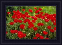 Load image into Gallery viewer, Plate 2 - Poppies in Abundance
