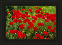 Load image into Gallery viewer, Plate 2 - Poppies in Abundance
