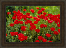 Load image into Gallery viewer, Plate 2 - Poppies in Abundance

