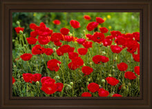 Load image into Gallery viewer, Plate 2 - Poppies in Abundance
