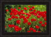 Load image into Gallery viewer, Plate 2 - Poppies in Abundance
