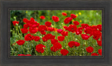 Load image into Gallery viewer, Plate 2 - Poppies in Abundance
