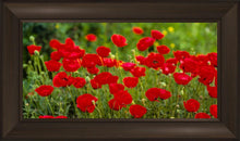Load image into Gallery viewer, Plate 2 - Poppies in Abundance
