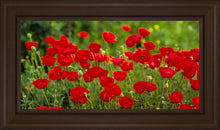 Load image into Gallery viewer, Plate 2 - Poppies in Abundance
