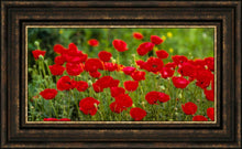 Load image into Gallery viewer, Plate 2 - Poppies in Abundance
