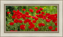 Load image into Gallery viewer, Plate 2 - Poppies in Abundance
