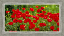 Load image into Gallery viewer, Plate 2 - Poppies in Abundance

