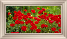 Load image into Gallery viewer, Plate 2 - Poppies in Abundance
