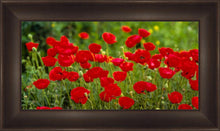 Load image into Gallery viewer, Plate 2 - Poppies in Abundance
