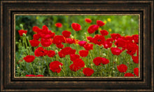 Load image into Gallery viewer, Plate 2 - Poppies in Abundance
