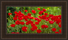 Load image into Gallery viewer, Plate 2 - Poppies in Abundance
