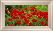 Load image into Gallery viewer, Plate 2 - Poppies in Abundance
