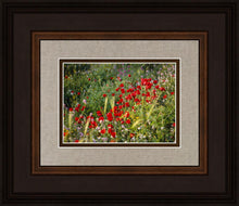 Load image into Gallery viewer, Plate 3 - Poppy Mix Judean Wilderness

