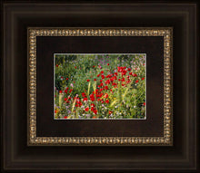 Load image into Gallery viewer, Plate 3 - Poppy Mix Judean Wilderness

