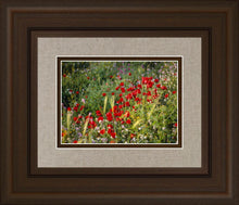 Load image into Gallery viewer, Plate 3 - Poppy Mix Judean Wilderness

