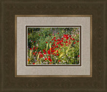 Load image into Gallery viewer, Plate 3 - Poppy Mix Judean Wilderness
