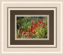 Load image into Gallery viewer, Plate 3 - Poppy Mix Judean Wilderness
