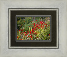 Load image into Gallery viewer, Plate 3 - Poppy Mix Judean Wilderness
