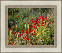 Load image into Gallery viewer, Plate 3 - Poppy Mix Judean Wilderness
