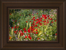 Load image into Gallery viewer, Plate 3 - Poppy Mix Judean Wilderness
