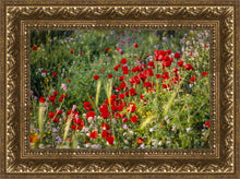 Load image into Gallery viewer, Plate 3 - Poppy Mix Judean Wilderness
