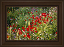 Load image into Gallery viewer, Plate 3 - Poppy Mix Judean Wilderness
