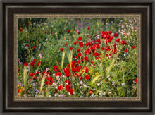 Load image into Gallery viewer, Plate 3 - Poppy Mix Judean Wilderness
