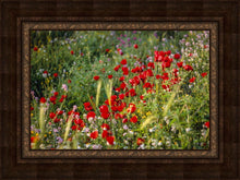 Load image into Gallery viewer, Plate 3 - Poppy Mix Judean Wilderness
