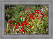 Load image into Gallery viewer, Plate 3 - Poppy Mix Judean Wilderness
