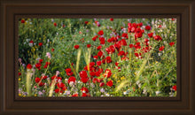 Load image into Gallery viewer, Plate 3 - Poppy Mix Judean Wilderness
