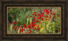 Load image into Gallery viewer, Plate 3 - Poppy Mix Judean Wilderness
