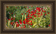 Load image into Gallery viewer, Plate 3 - Poppy Mix Judean Wilderness
