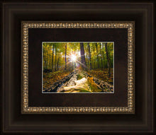 Load image into Gallery viewer, Plate 4 - Suddenly a Light Descended!
